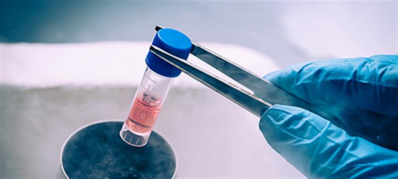 N Biotech Co., Ltd. Historia 2008-2024: después de la transición a la solución total de células madre